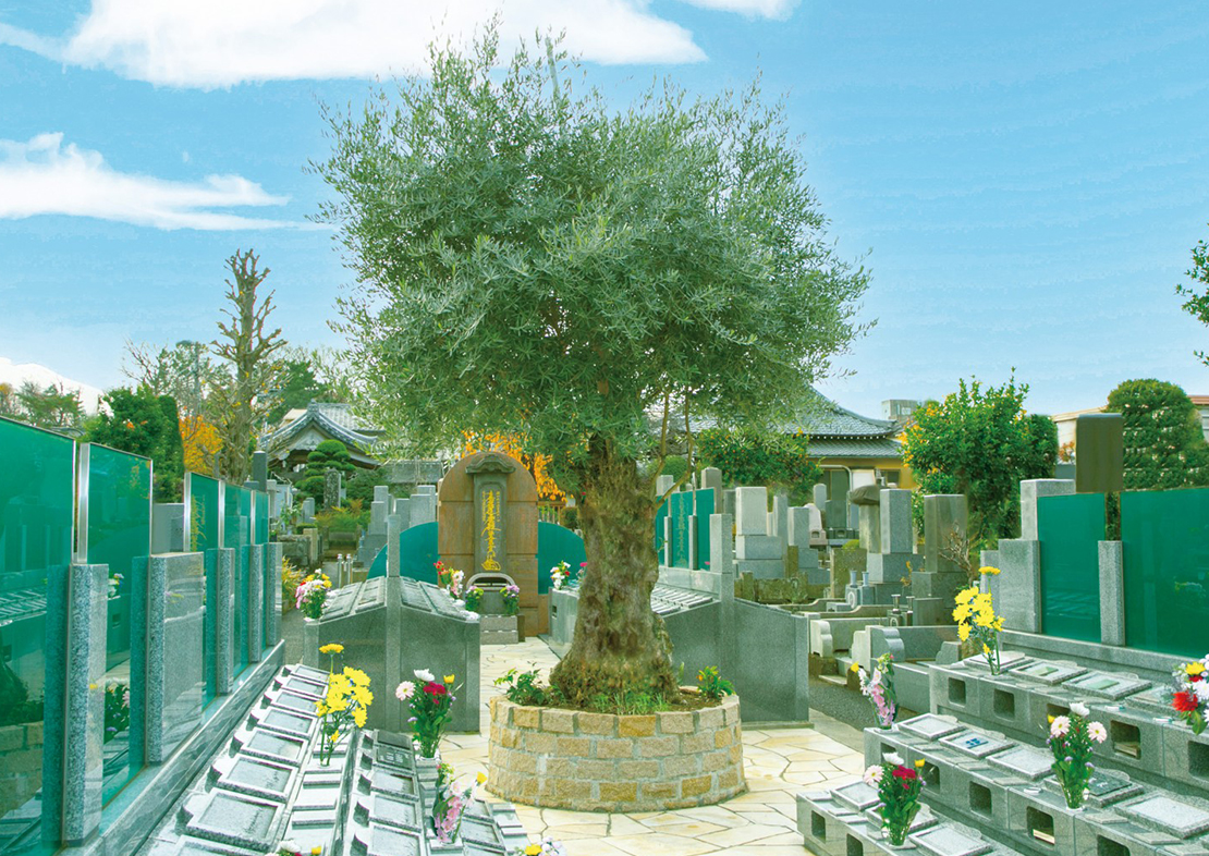 杉並区 樹木葬｜オリーブ光の庭園