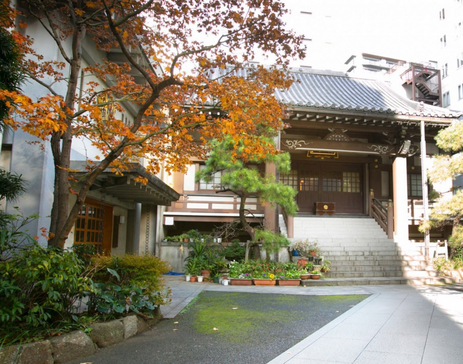 港区 納骨堂｜芝大門御廟の写真