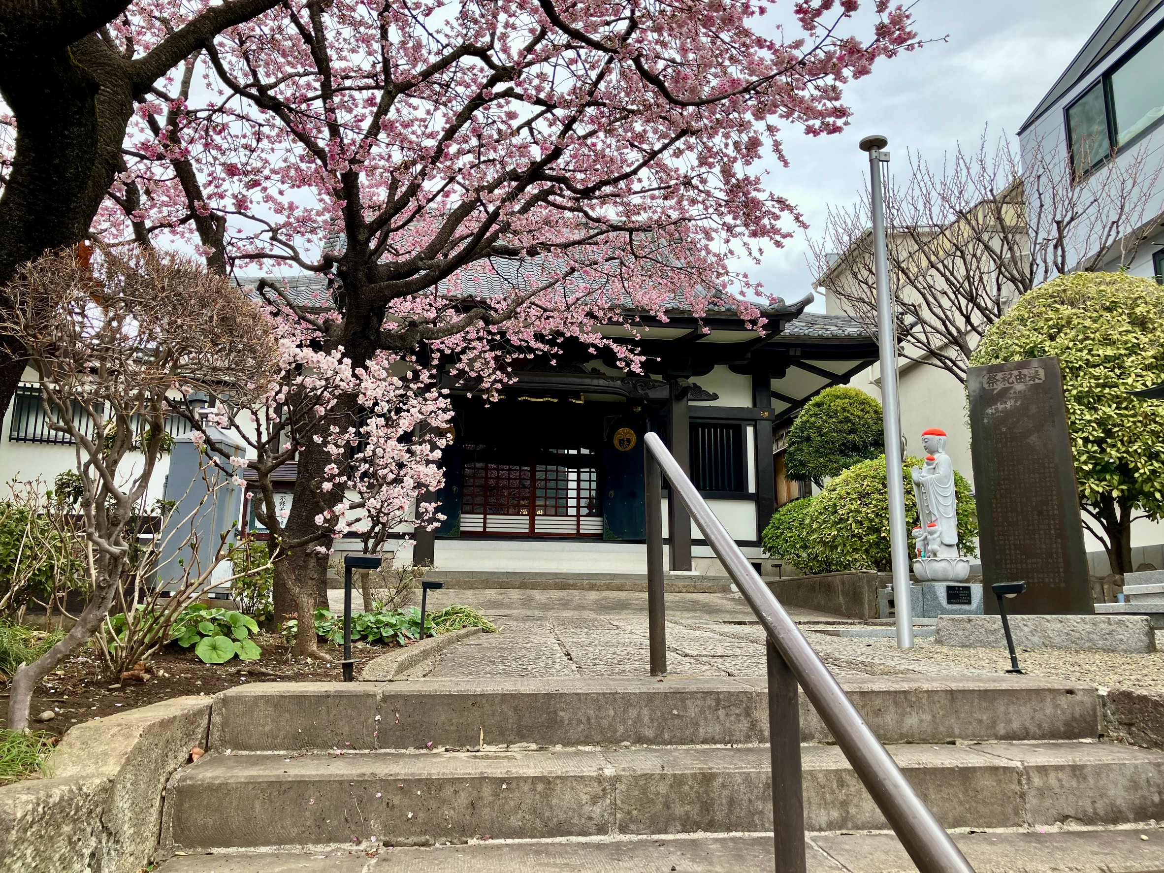 恵比寿 樹木葬｜陽だまりガーデンの写真