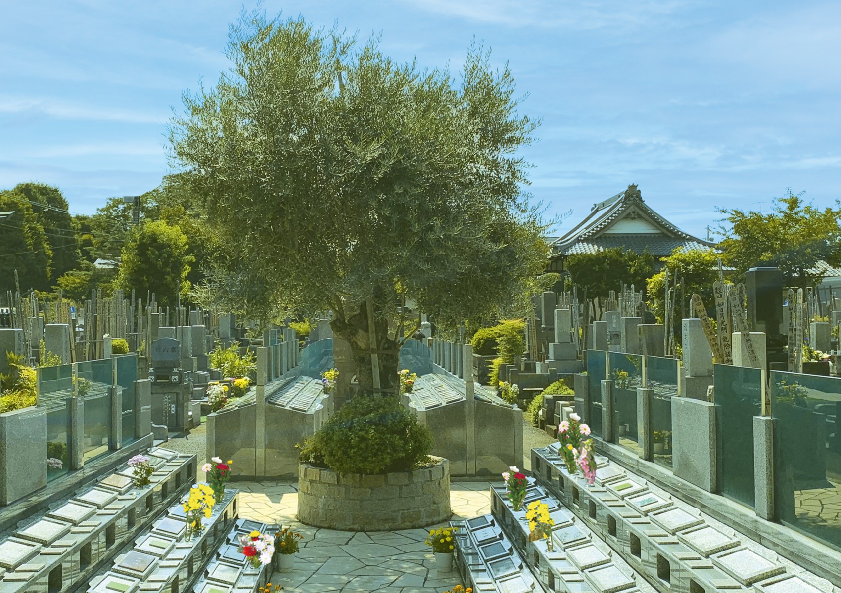 杉並区 樹木葬｜オリーブ光の庭園の写真