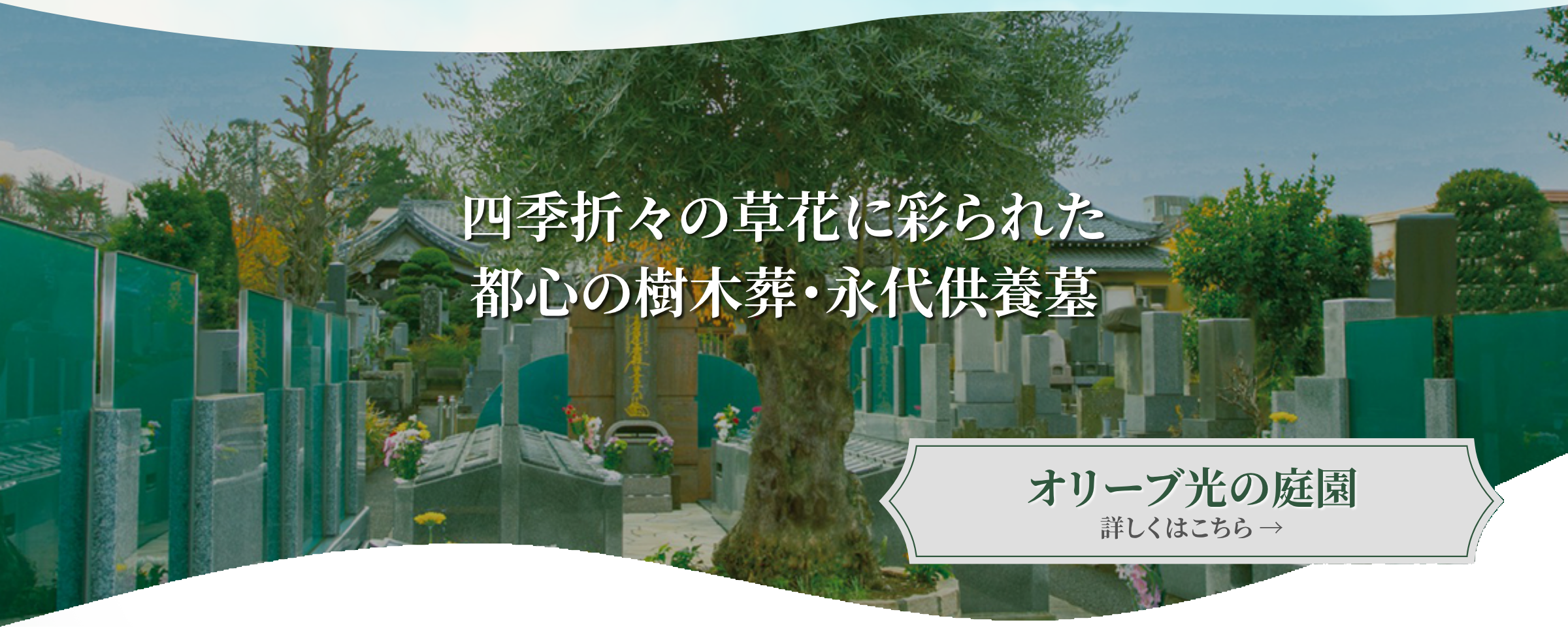 株式会社宙の会
