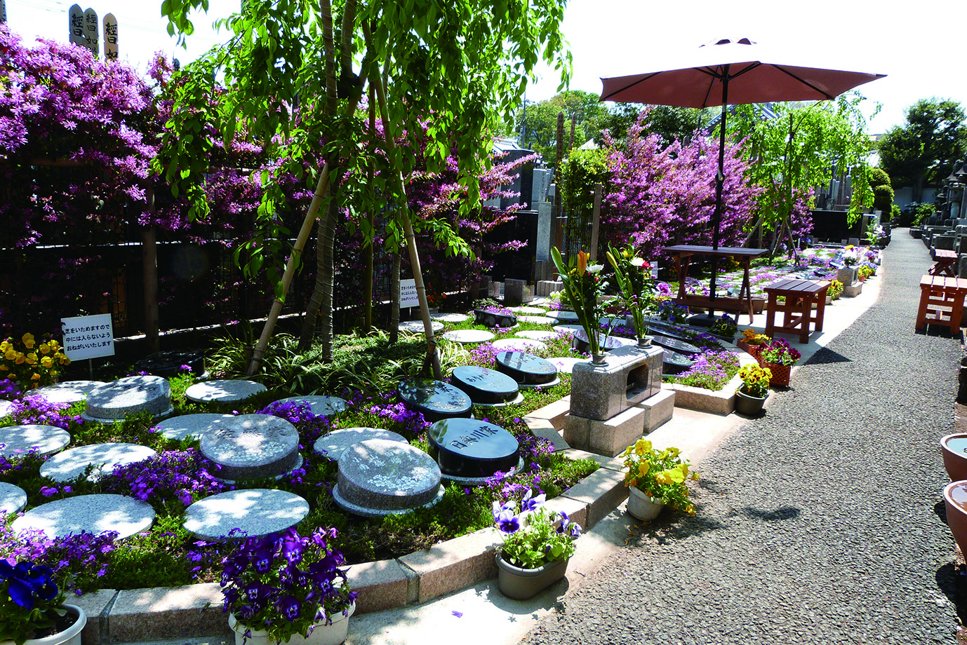 杉並区 樹木葬｜桜の庭園の写真